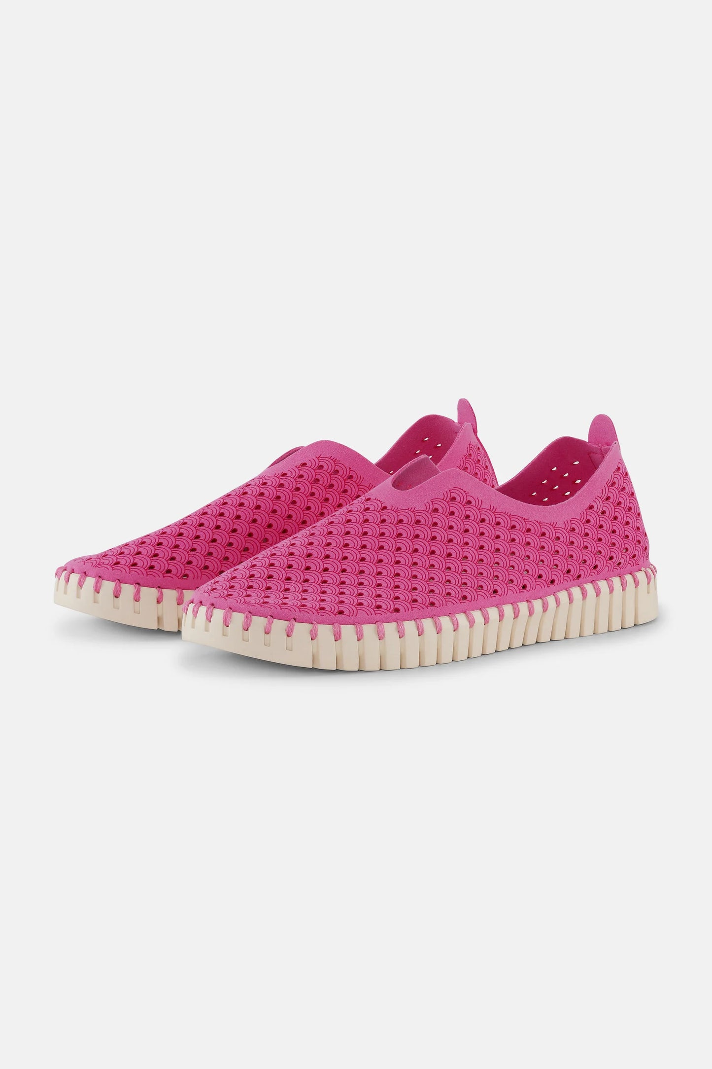 Rose Violet Flat