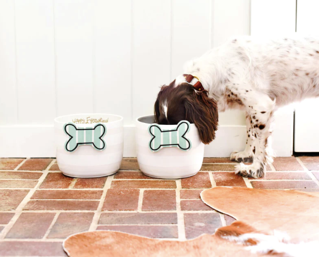 Big Att: Striped Bone