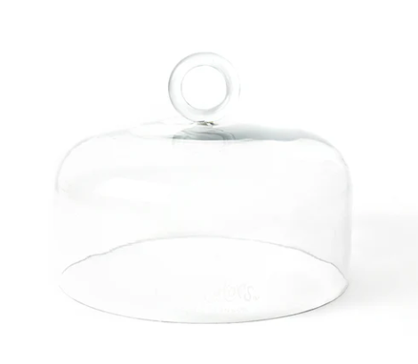 Ring Handle Large Glass Dome