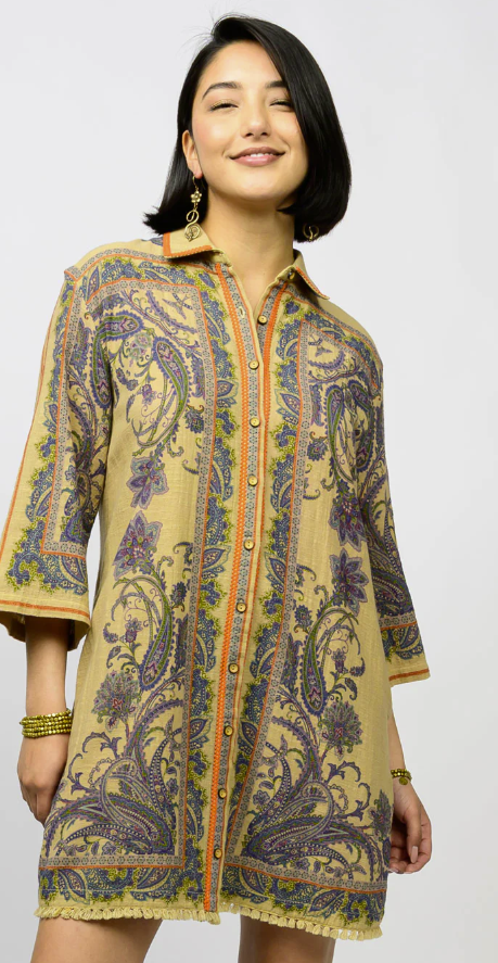 Paisley Border Shirtdress