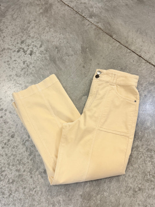 Ivory Velveteen Front Seam Pants