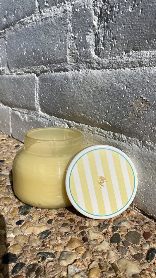 Artisan Caffe Isla Bloom 19oz.