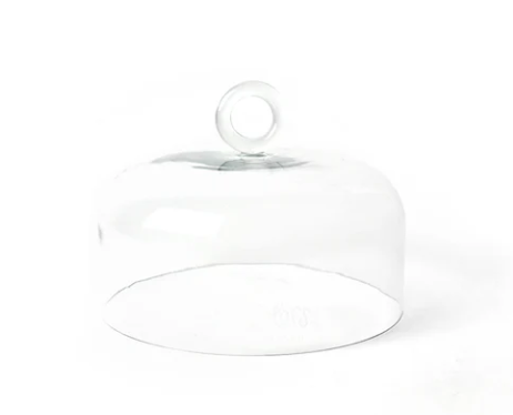 Ring Handle Small Glass Dome
